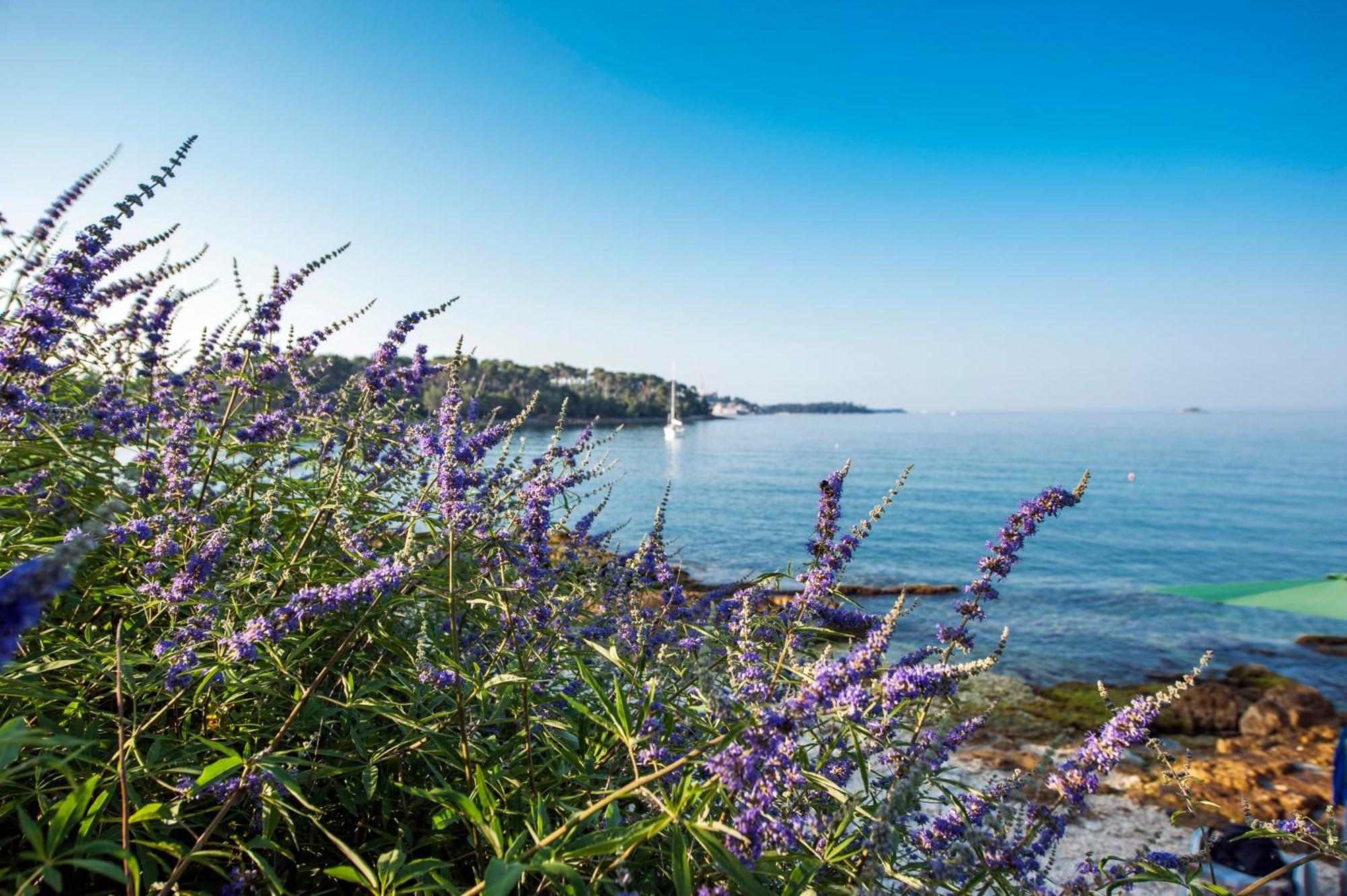 & Anita * Rovinj